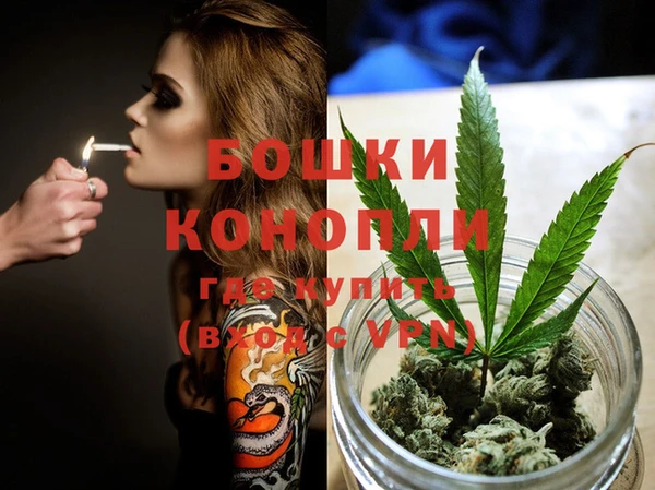 индика Алексеевка