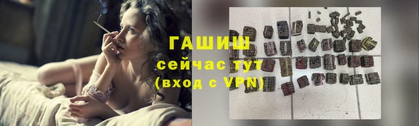 СК Новодвинск
