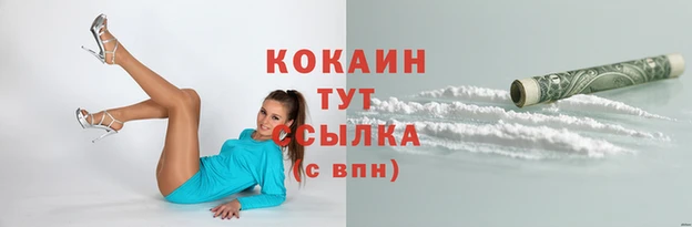 хмурый Новозыбков