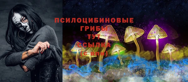 a pvp Алексин