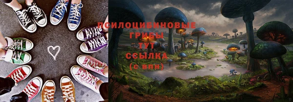 индика Алексеевка