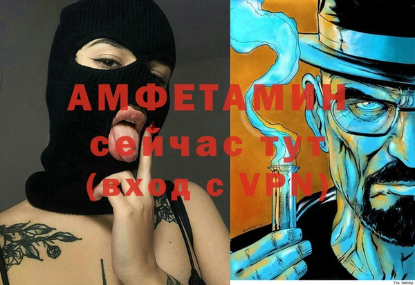 индика Алексеевка