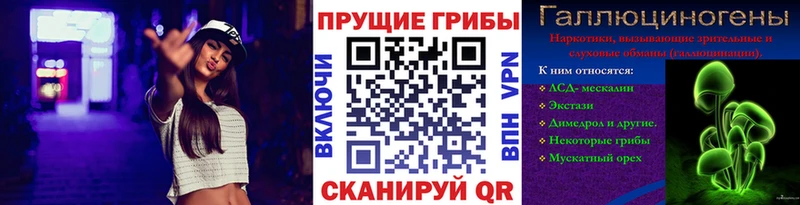 Галлюциногенные грибы Cubensis  Лениногорск 